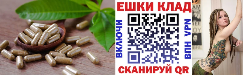 где купить   Геленджик  Экстази TESLA 