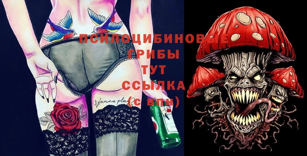 ПСИЛОЦИБИНОВЫЕ ГРИБЫ Семёнов