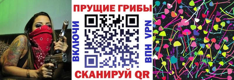 где купить   МЕГА ссылки  Псилоцибиновые грибы Cubensis  Геленджик 